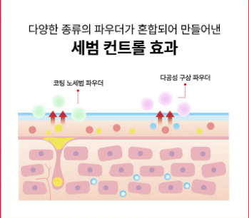 หมอนอิง Zoom by Jung Saem Mool Sebum Down Cushion