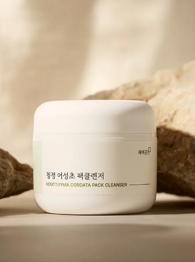 Chaebi Space Clean Houttuynia Cordata Pack Cleanser 45 g