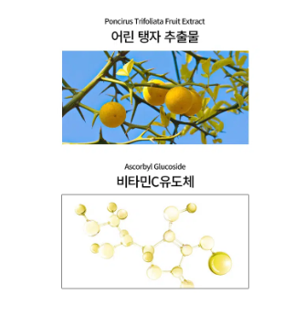 มาส์กบำรุงผิวหน้า Celderma Daily Transforming Vita Toning Mask ขนาด 28 กรัม