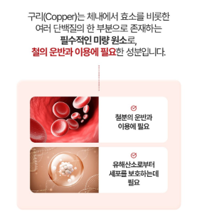 Chong Kun Dang Iron Folic Acid วิตามินดีพลัส 60 เม็ด 1 ซอง