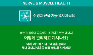 เซโนวิส แมกนีเซียมแท้ 90 เม็ด 1 แพ็ค